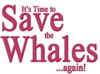 Whales Revenge- Petition to end whaling