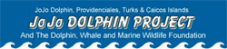 The JoJo Dolphin Project